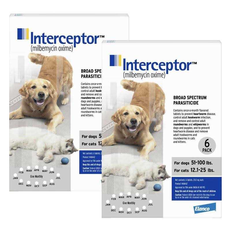 12 Month Supply Pet Supplies T60888