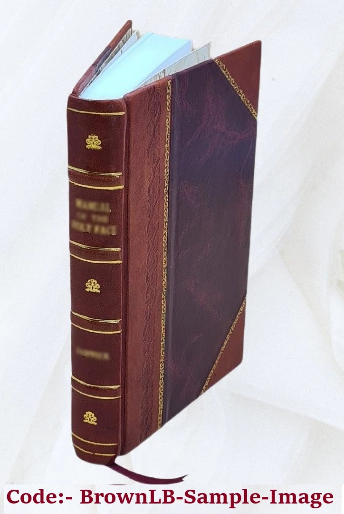 1895 Leather Bound Book Y137