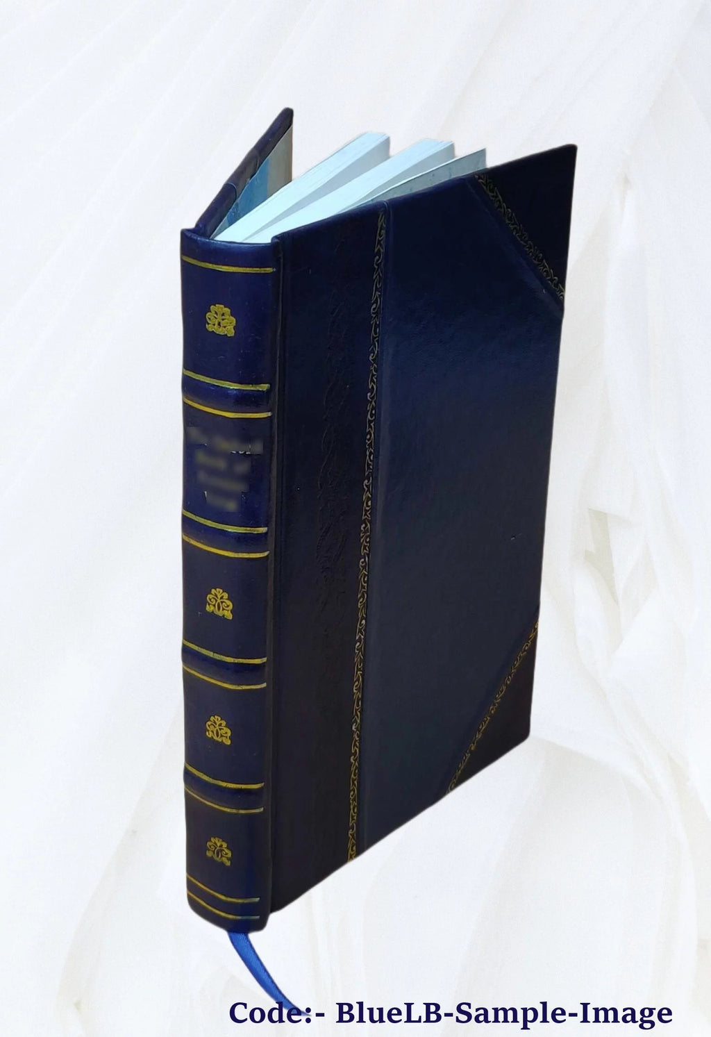 Leather Bound Book O265560