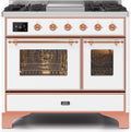 White Dual Fuel Natural Gas Range W292