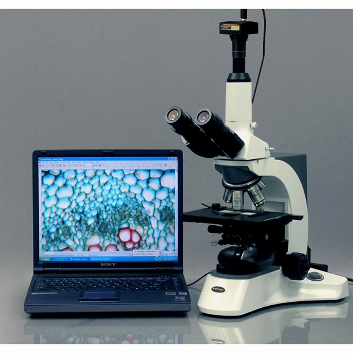 18MP USB3.0 Digital Microscope Camera R558201