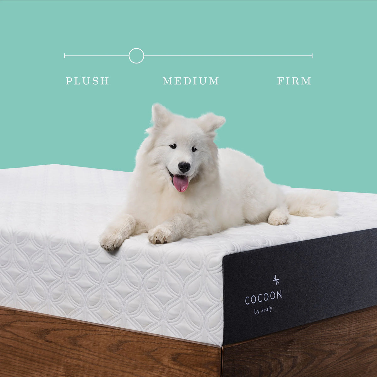 10 Medium Gel Memory Foam Mattress, Queen P954253