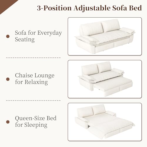 Queen Size Velvet Convertible Sleeper Sofa T80812