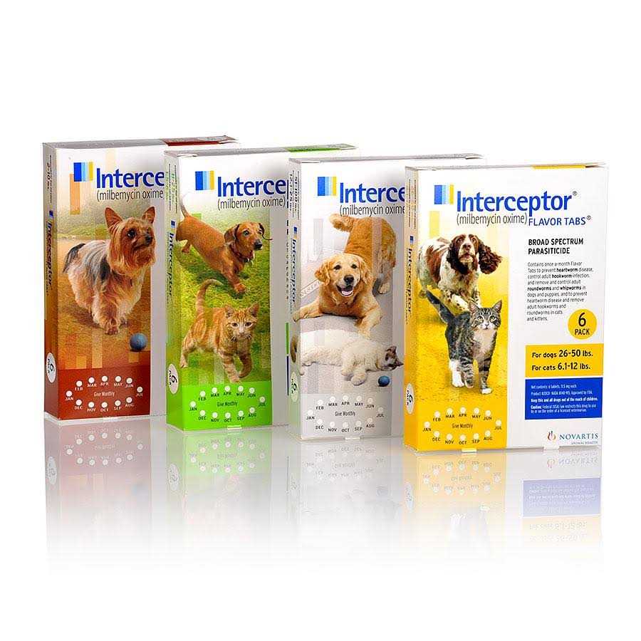 12 Month Supply Pet Supplies T60888