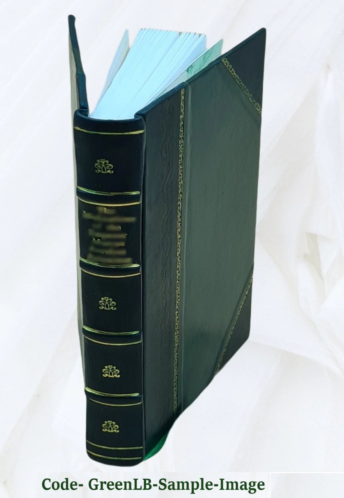 Leather Bound Book O265560