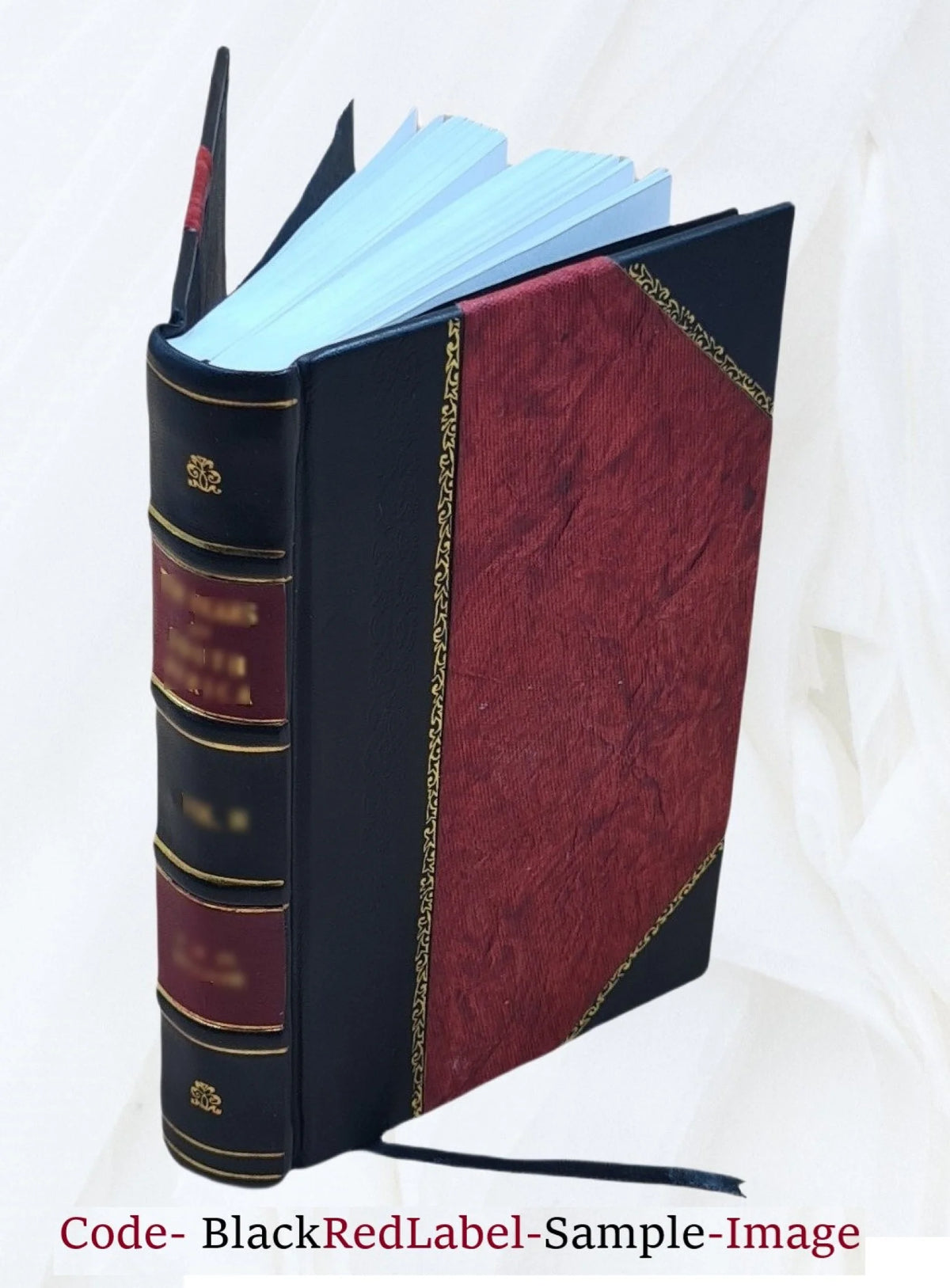 Leather Bound Book O265560
